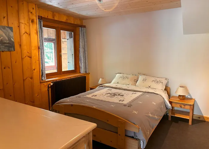 Апартаменты Appartement Chamonix Шамони